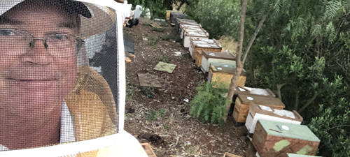 About Us Our Bee Homes 